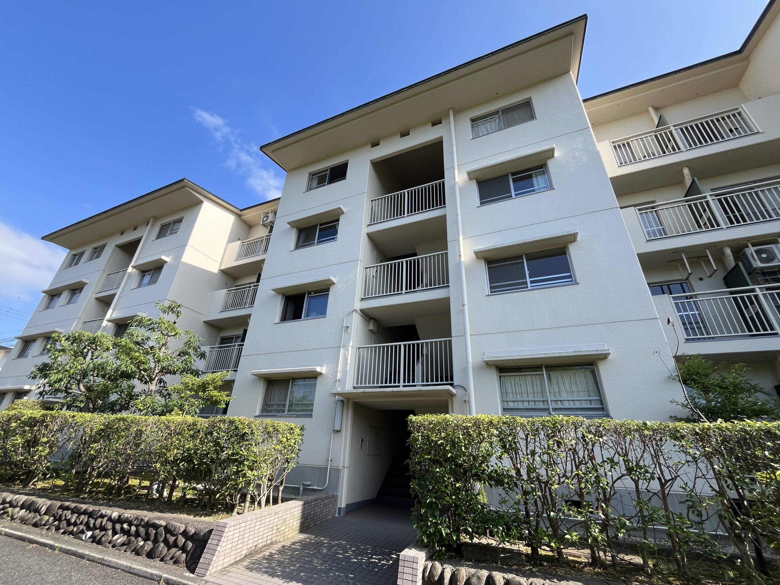 物件情報