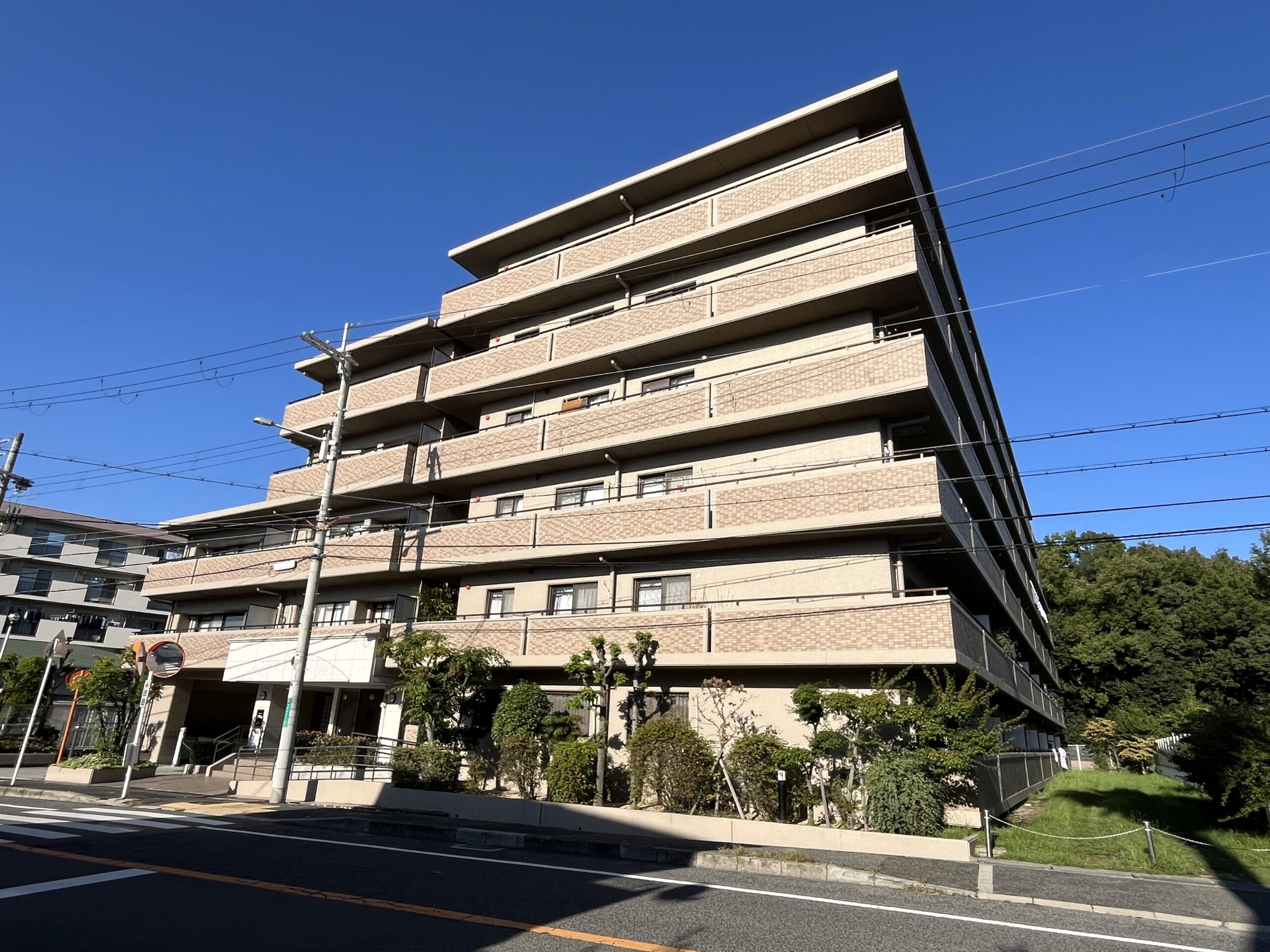 物件情報