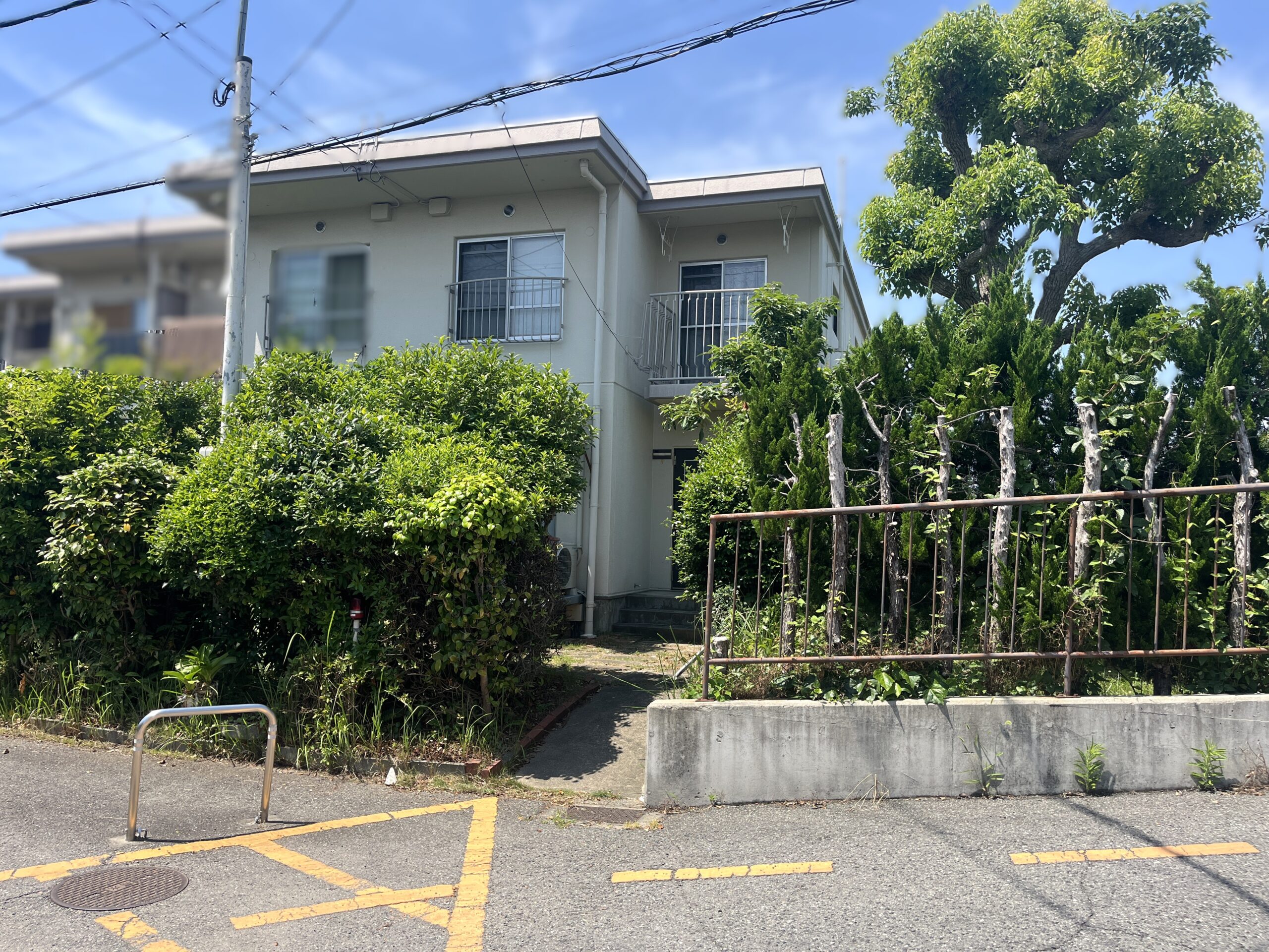 物件情報