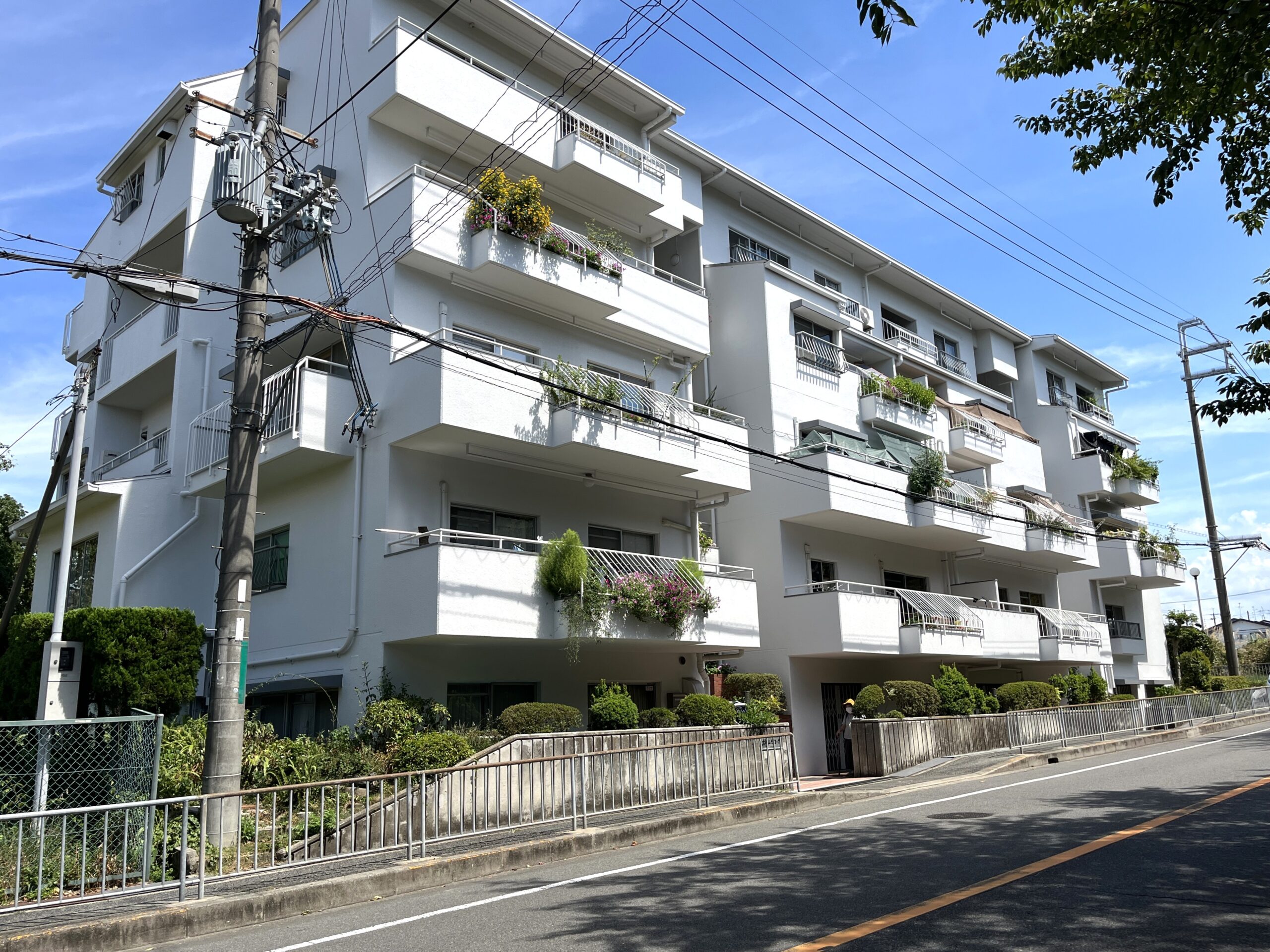 物件情報